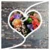Feiere die Liebe und Dein Leben IMG_1016